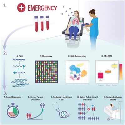 Implications of Using Host Response-Based Molecular Diagnostics on the Management of Bacterial and Viral Infections: A Review